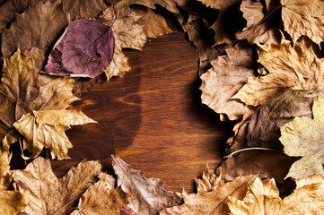 Autumn background with dry leaves on a wooden table