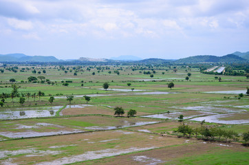 Obraz premium Rice filed landscape seen from above; kanchanaburi Thailand