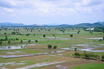 Rice filed landscape seen from above; kanchanaburi Thailand