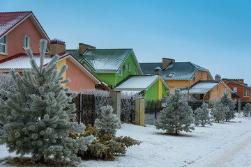 Colorful houses standing near snow-covered paths and pine trees