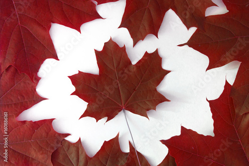 Happy Canada Day Red maple leaf