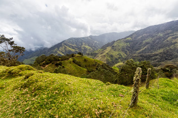 Aged fence posts in the mountains outside of Salento, Colombia.