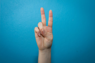 english sign language letter 