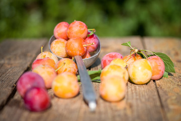 Fresh plums