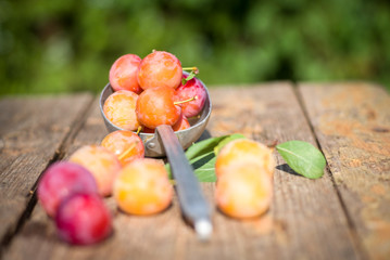 Fresh plums