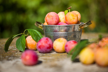 Fresh plums