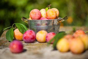 Fresh plums