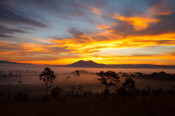 Misty morning sunrise at Thung Salang Luang National Park Phetchabun,Tung slang luang is Grassland savannah in Thailand