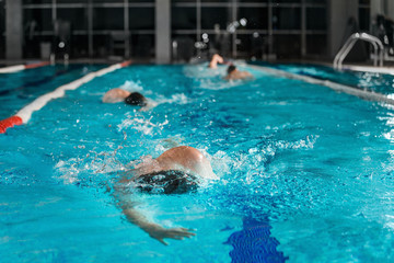 Four male swimmers swimming in the same lane