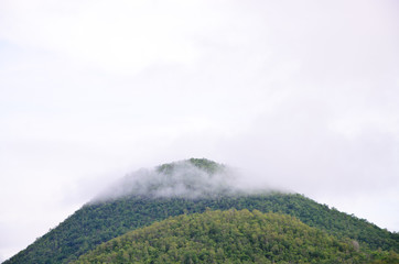 The forest at the front of the mountains in the fog and low lying cloud; Srinakarin Dam Kanchanaburi Thailand