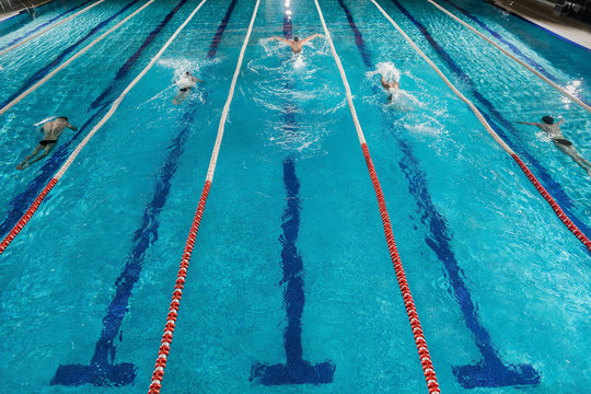 Five swimmers racing against each other in a swiming pool