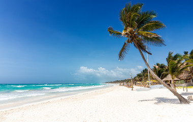 Paradies in der Karibik: Strand von Tulum, Maya Küste, Mexiko