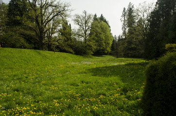 park  © wedrownik52