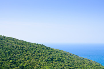 The View of green forest on mountainside with the sea