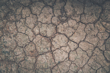 Wallpaper, cracked soil