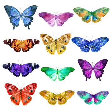 Set of watercolor transparent butterflies in blue, pink, orange, ocher and lilac flowers on a white background