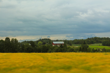 Fototapeta premium Feld