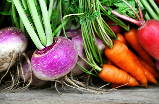 Crate of fresh harvested root vegetables: carrots, turnips and radishes, selective focus