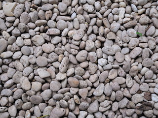 gravel on the floor In the garden