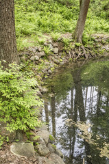 Clean, calm forest lake, whose banks are lined with cobblestones, in a forest park.