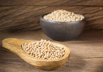 Yellow Mustard Seeds - Sinapis alba