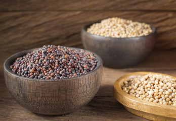 Seeds of yellow and black mustard