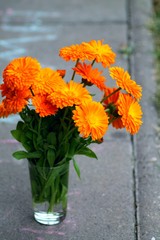 Soft bouquet of orange marigold (calendula) flowers in simple glass vase on concrete floor.
