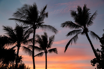 Hawaiian Sunset 02