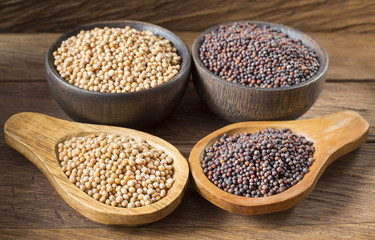Seeds of yellow and black mustard