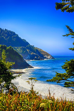 The Devil's Elbow State Park at Heceta Head in Oregon, USA