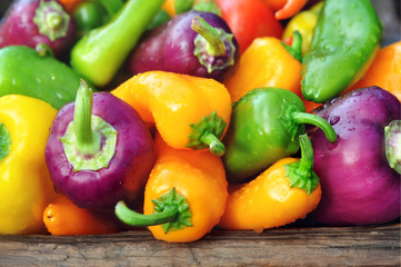 Crate of colorful fresh harvested bell peppers, selective focus