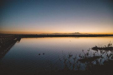 Fototapeta premium Bolsa Chica California Sunrise 18