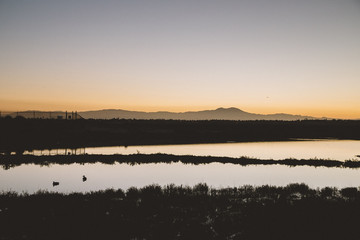 Bolsa Chica California Sunrise 15