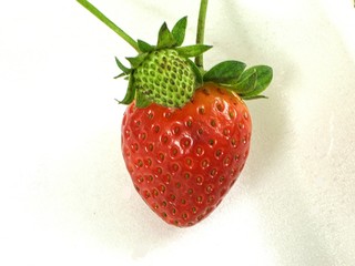 fraise