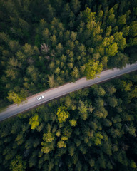 Look down at the forest with the road with the car