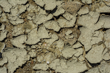 Cracked mud clay background texture