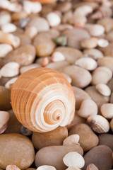 Sea pebbles background, natural seashore stones