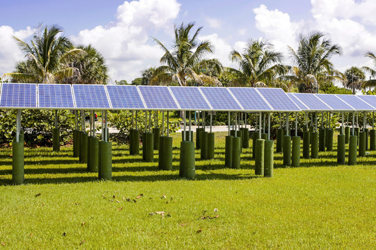 Rows of Solar Panels in Venice, FL, USA