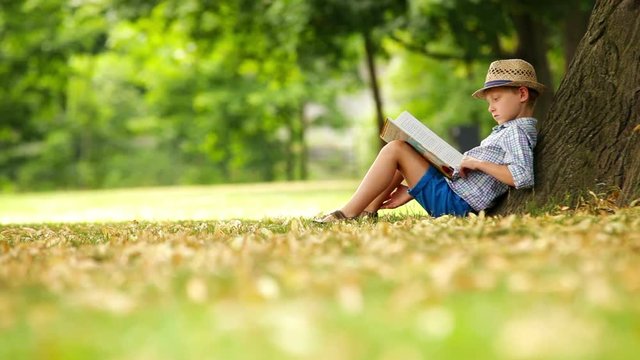 Boy sits by the tree on a sunny day and reads a book