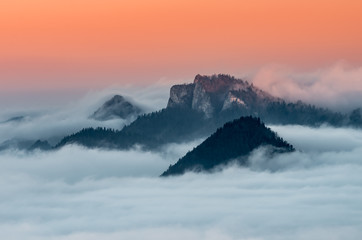 Fototapeta na wymiar Poland landscape, Pieniny mountains in the sea of fog in the morning with Trzy Korony (Three Crowns) peak