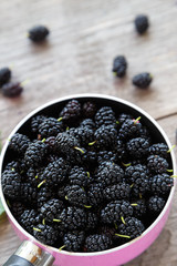 berries black mulberry