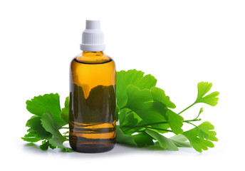 Extract from the ginkgo in bottle with green leaves isolated on a white background.