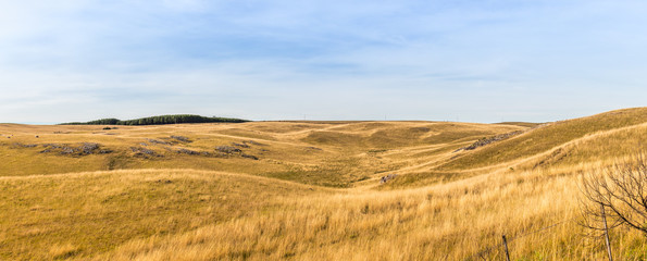 Pastagem no inverno.