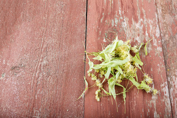 Fresh linden flowers on wooden board red