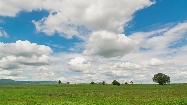 4k Timelapse Video Clip of Moving White Cloud on Blue Sky over Green grass Field Meadow in Thailand.