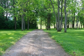 The gravel country road in the tree area.