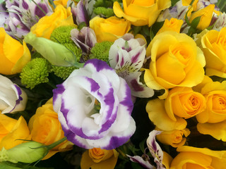 floral, decoration, blossom, beautiful, bouquet, bunch, flower, petal, valentine, wedding, rose, gift, background, bloom, plant, pink, white, arrangement, beauty, red, love, summer, nature, holiday, a