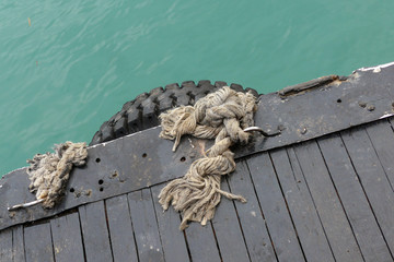 Lupo di mare