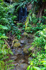 Kleiner Wasserfall im Akaka Falls State Park auf Big Island, Hawaii, USA.