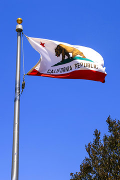 The California State Flag flying over St. Paula, CA, USA